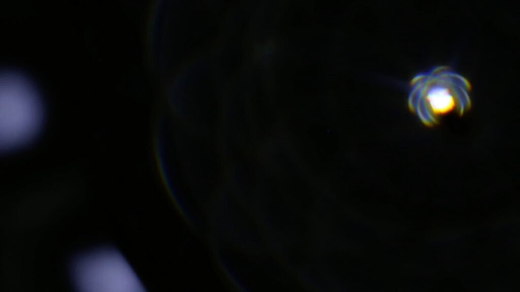 darwin (animation)